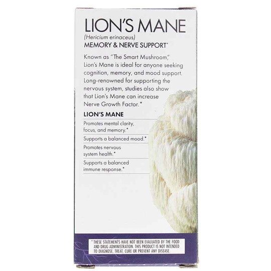 Lion's Mane Memory & Nerve Support, HDF